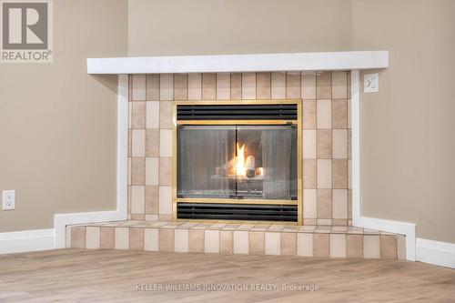 Lower - 170 Wheatfield Crescent, Kitchener, ON - Indoor With Fireplace