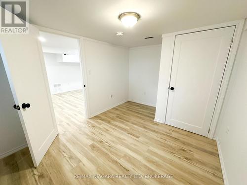 Basement - 233 Pelham Road, St. Catharines (Western Hill), ON - Indoor Photo Showing Other Room