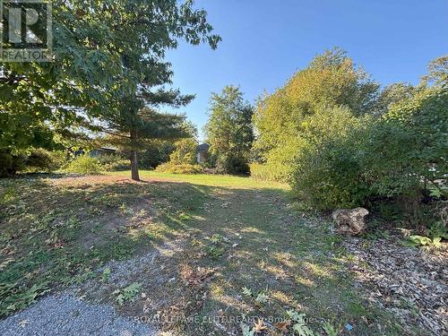 1631 Eglinton Avenue W, Mississauga, ON - Outdoor