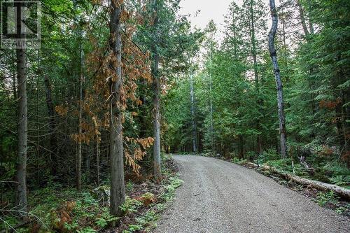 Lot 28 Richmond Bay Rd, Hilton Township, St. Joseph Island, ON 