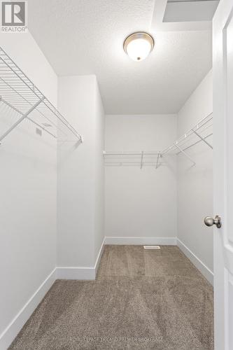 1585 Chickadee Trail, London South (South U), ON - Indoor With Storage