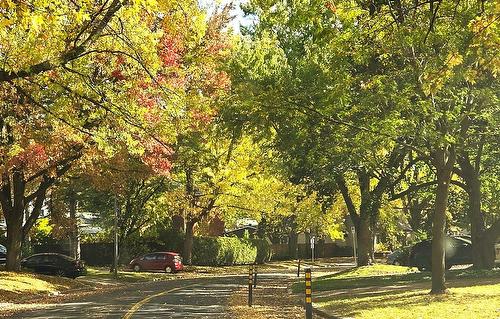 Street - 155 Rue Vanier, Sorel-Tracy, QC - Outdoor