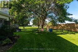 Backyard, kids' fort - 