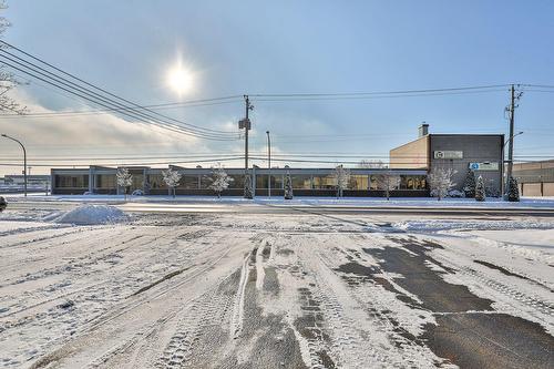Extérieur - 9700 Boul. Parkway, Montréal (Anjou), QC - Outdoor With View