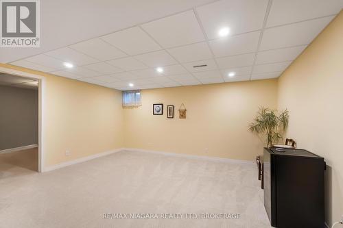 14 - 165 Main Street E, Grimsby (Grimsby East), ON - Indoor Photo Showing Basement