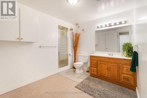 3pc lower level. - 14 - 165 Main Street E, Grimsby (Grimsby East), ON - Indoor Photo Showing Bathroom