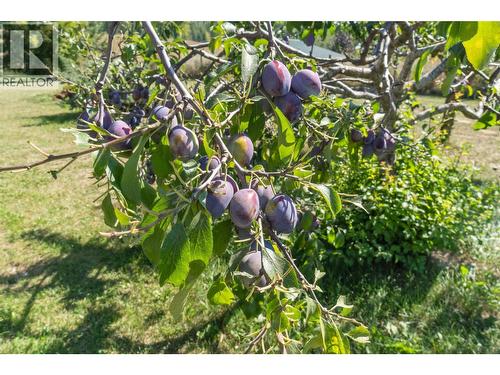 1168 Mallory Road Se, Enderby, BC - 