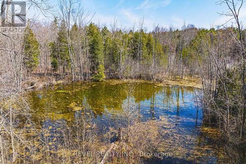 1325 3 Side Road, Milton, ON - Outdoor With View