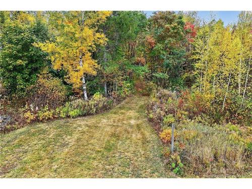 77 Carleton St, Rogersville, NB 