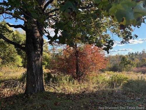 0 Elm Park, Saint Stephen, NB 