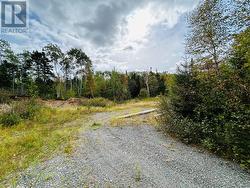 117 Askels Cove Road  Western Arm, NL A0H 1Z0