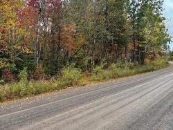 Condon Road  Scotsburn, NS B0K 1R0