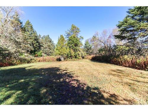 14 Old Black River Rd, Black River, NB 