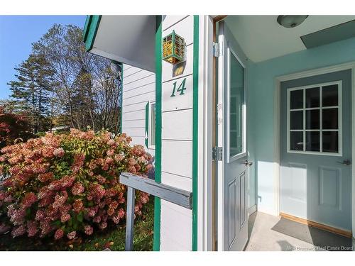 14 Old Black River Rd, Black River, NB 