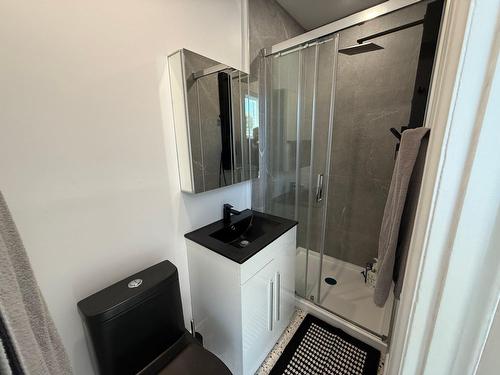 Salle de bains - 6627-A Rue De La Roche, Montréal (Rosemont/La Petite-Patrie), QC - Indoor Photo Showing Bathroom