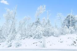 Av. des Capucins  Chertsey, QC J0K 3K0