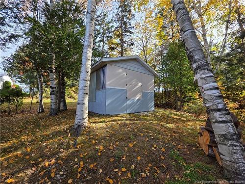 198 Bellevue St, Grand Falls, NB 