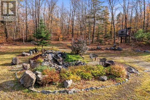121 Poor Mans Road, Parry Sound Remote Area (Lount), ON - Outdoor With View