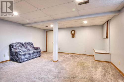 3 Cora Drive, Kitchener, ON - Indoor Photo Showing Basement