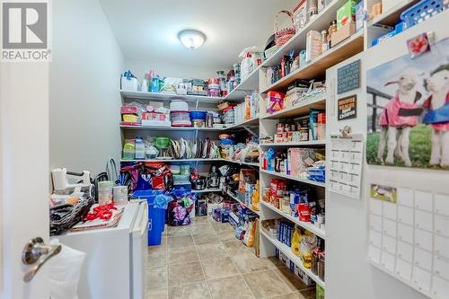 97 Ridgewood Drive, Paradise, NL - Indoor With Storage