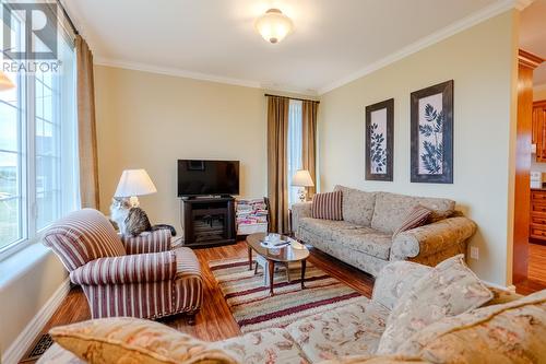 97 Ridgewood Drive, Paradise, NL - Indoor Photo Showing Living Room