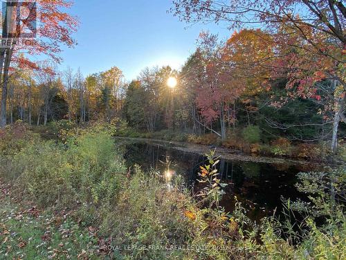 25C Forbes Road, Tweed (Elzevir (Twp)), ON - Outdoor With View