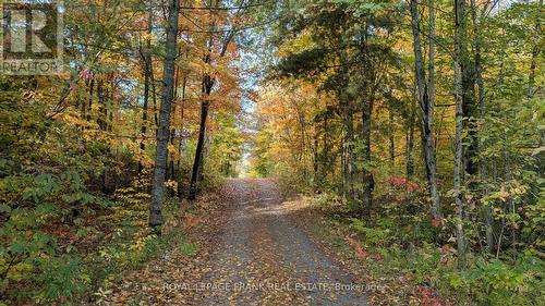 25C Forbes Road, Tweed (Elzevir (Twp)), ON - Outdoor With View