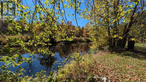 25C Forbes Road, Tweed (Elzevir (Twp)), ON - Outdoor With View