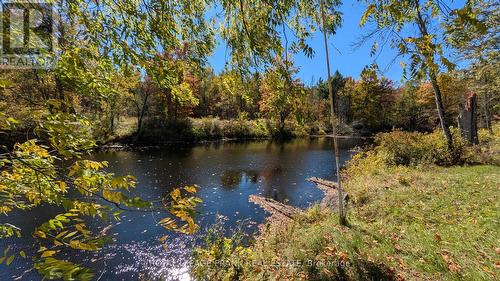 25C Forbes Road, Tweed (Elzevir (Twp)), ON - Outdoor With Body Of Water With View