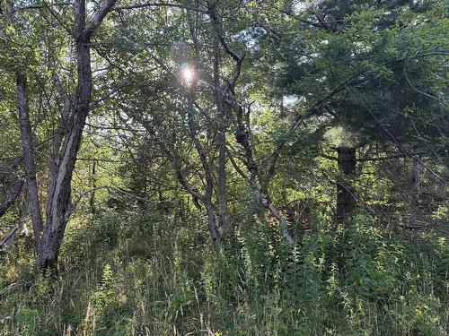 Pid#80099674 Sandy Point Road, Shelburne, NS 