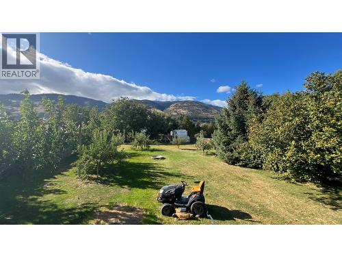 5246 Haynes Road, Oliver, BC - Outdoor With View