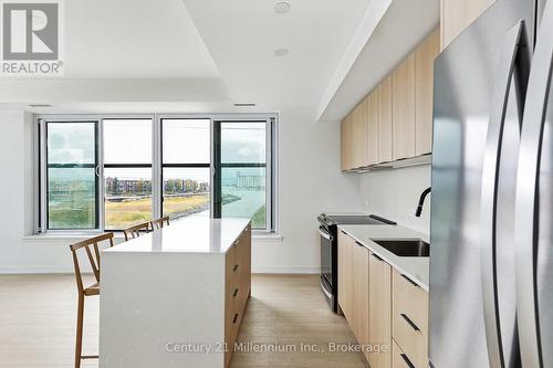223 - 31 Huron Street, Collingwood, ON - Indoor Photo Showing Kitchen