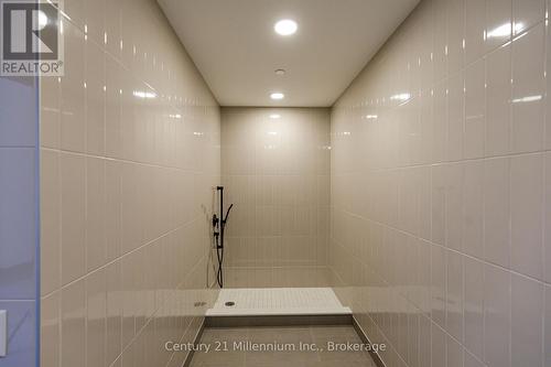 Dog wash station - 223 - 31 Huron Street, Collingwood, ON - Indoor Photo Showing Bathroom