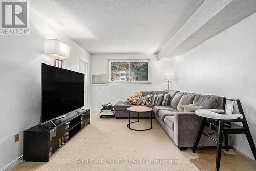 107 - 318 Lorry Greenberg Drive, Ottawa, ON - Indoor Photo Showing Living Room