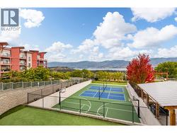 Pickle ball & basket ball - 