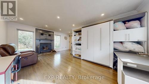 24762 Weirs Side Road, Georgina, ON - Indoor Photo Showing Living Room With Fireplace