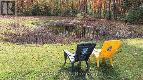24762 Weirs Side Road, Georgina, ON - Outdoor