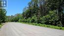Lot 1 Red Pine Trail, Bracebridge (Macaulay), ON 