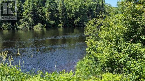 Lot 1 Red Pine Trail, Bracebridge (Macaulay), ON 