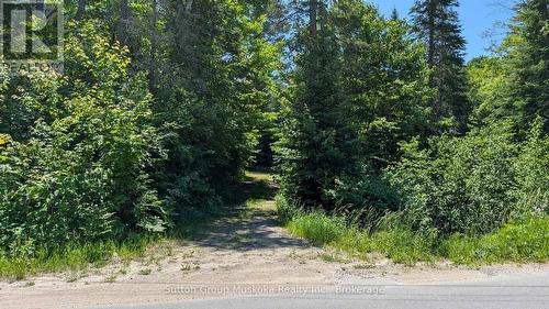 Lot 1 Red Pine Trail, Bracebridge (Macaulay), ON 