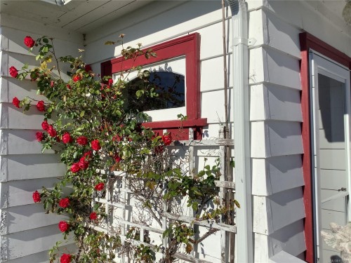 110 10Th Ave, Sointula, BC 