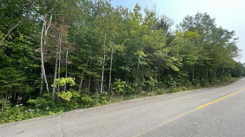 Terre/Terrain - Ch. Des Monts, Chertsey, QC 