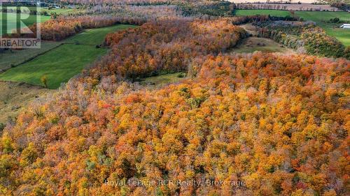 00 9Th Line, Grey Highlands, ON 