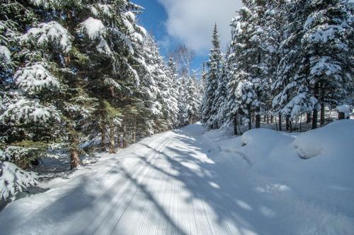 Exterior - 189 Ch. Wheeler, Mont-Tremblant, QC - Outdoor