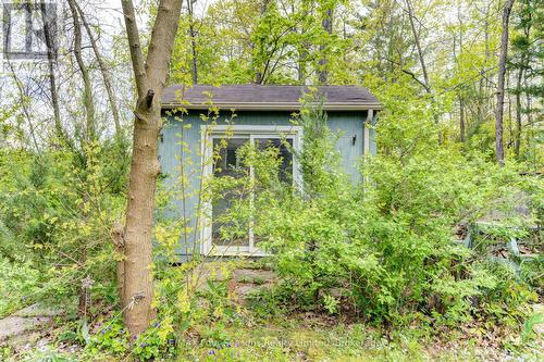 243 River Road E, Wasaga Beach, ON - Outdoor