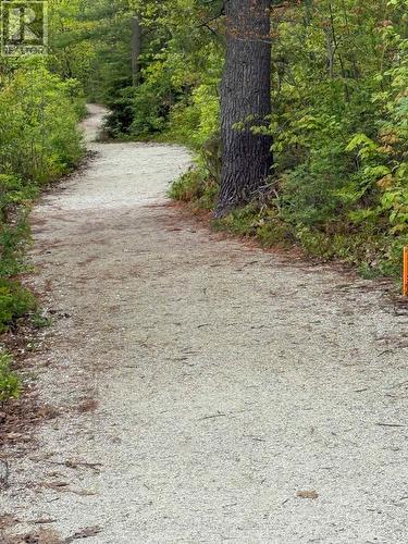 243 River Road E, Wasaga Beach, ON - Outdoor