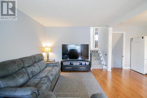 42 Newleaf Crescent, Welland (N. Welland), ON - Indoor Photo Showing Living Room