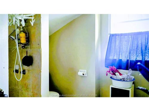 84 Victoria Street, Ridgetown, ON 