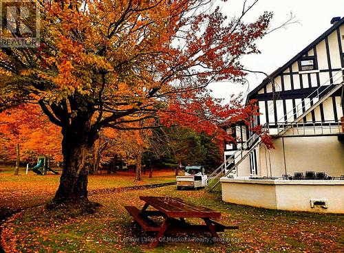 Fall Colours at Bigwin Condos - 307 - 12 Bigwin Island Island, Lake Of Bays (Franklin), ON - Outdoor