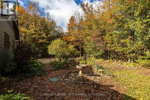 360458 Road 160, Grey Highlands, ON - Outdoor